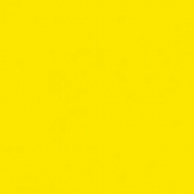 Yellow.jpg 